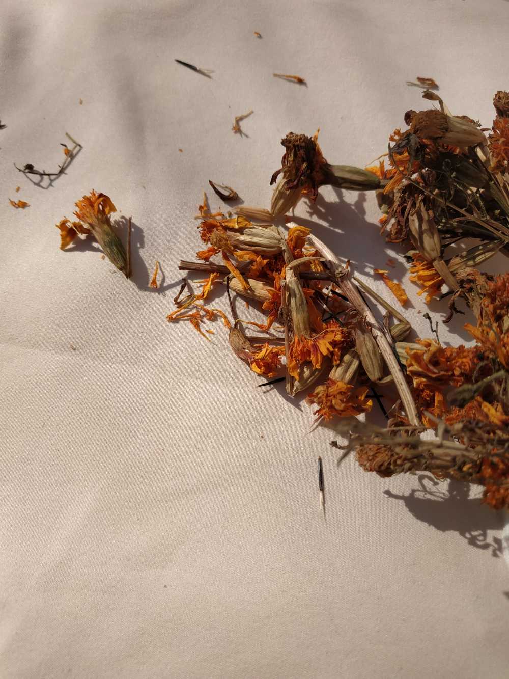 干花