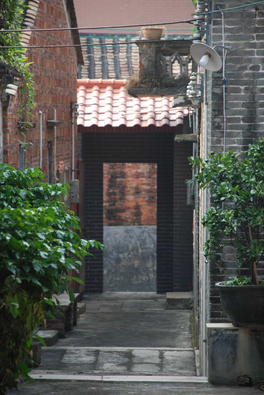 家乡