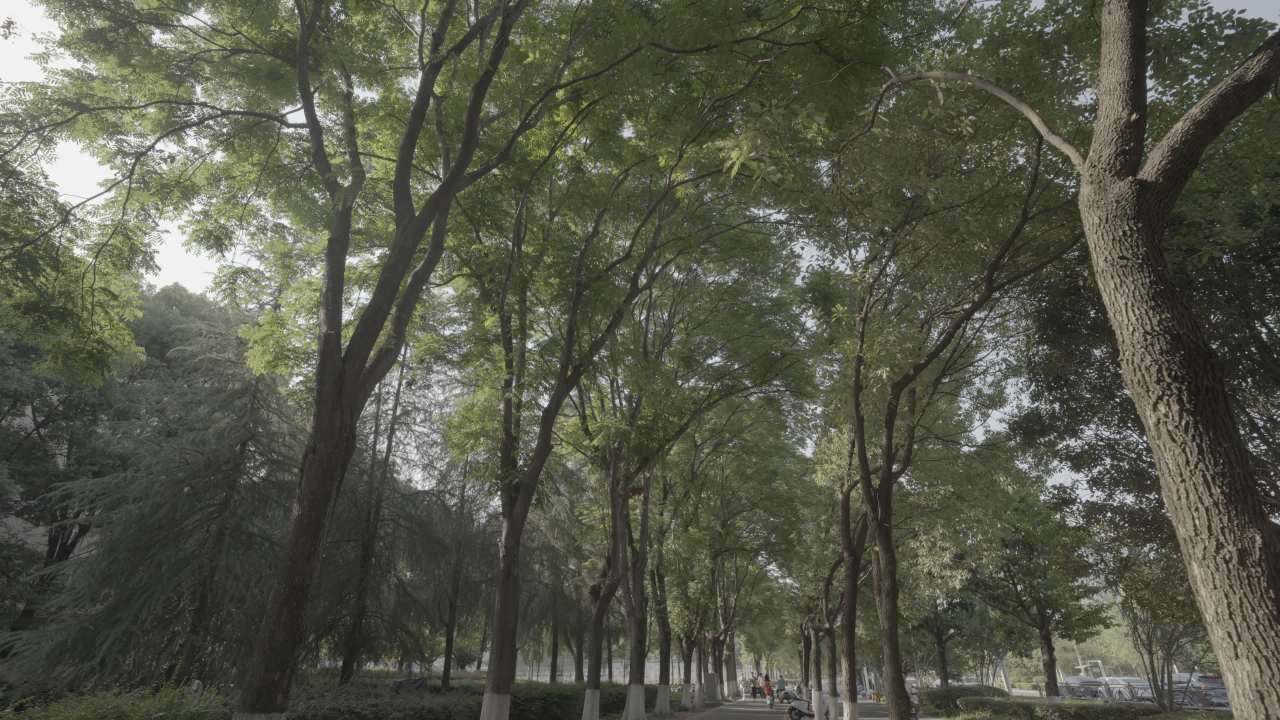 宜昌江边 96