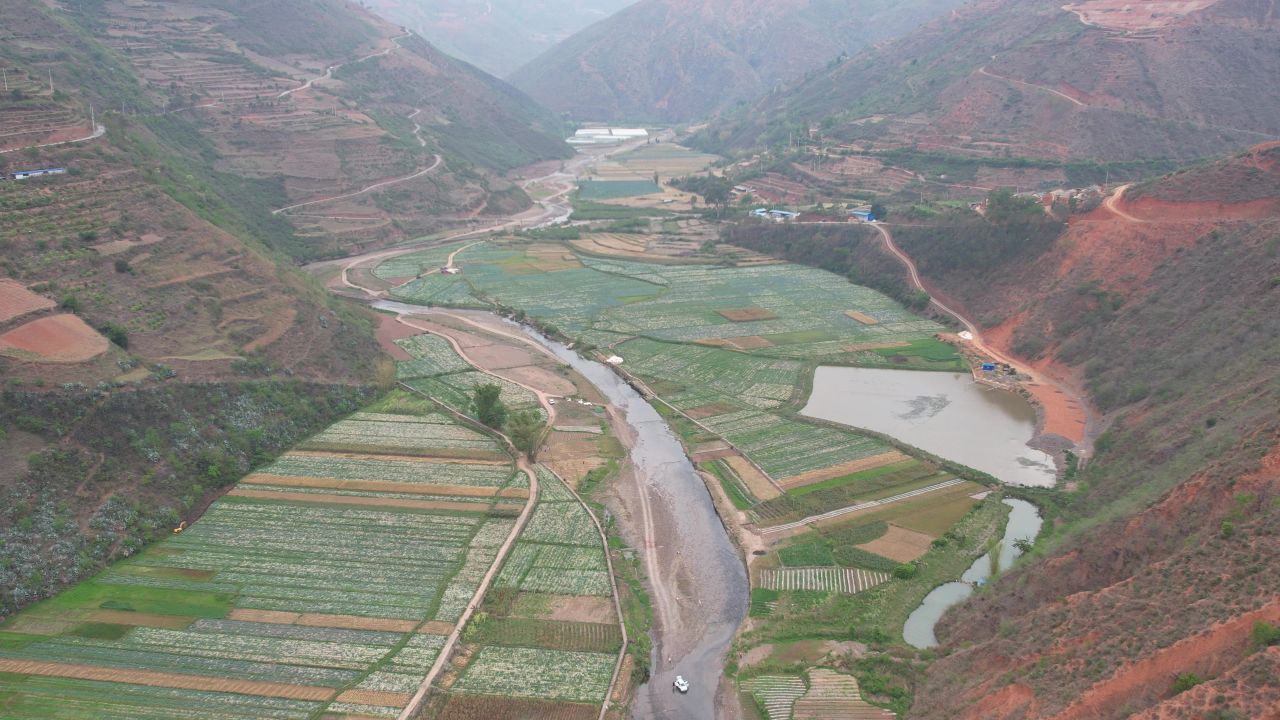河谷平地种植绿色的蔬菜2