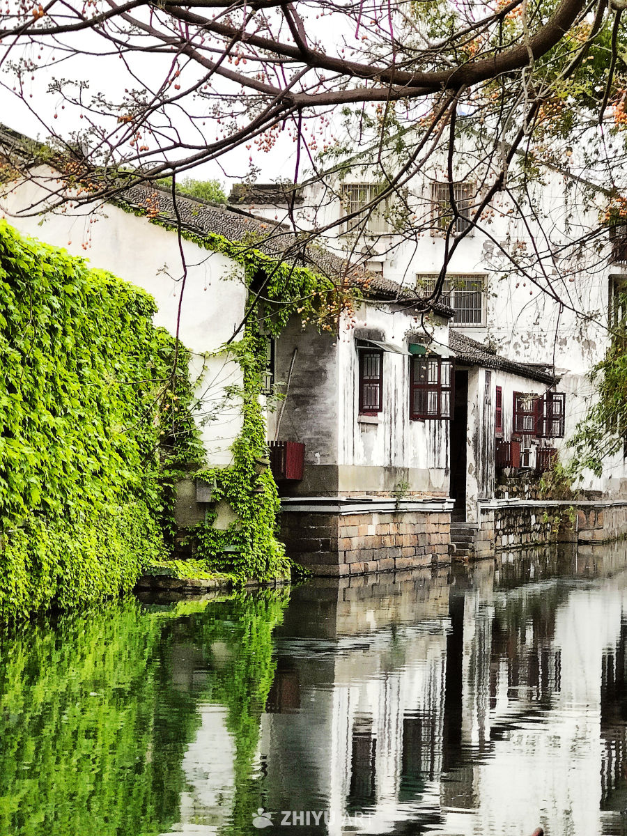 水乡