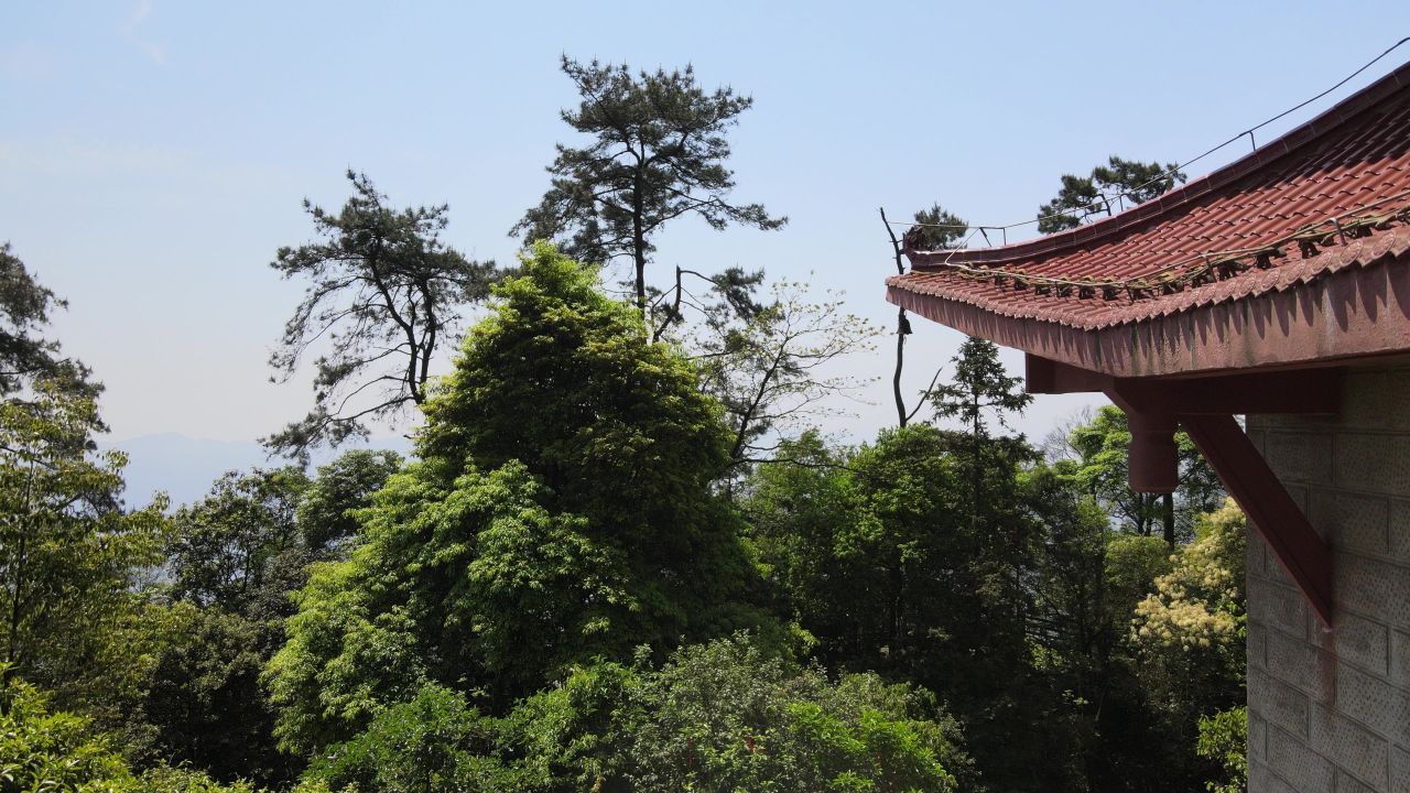 重庆缙云山航拍 1