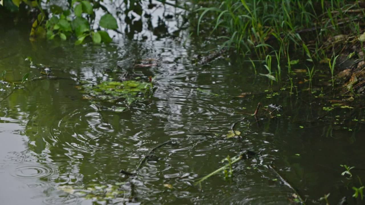 一天下雨水滴 37