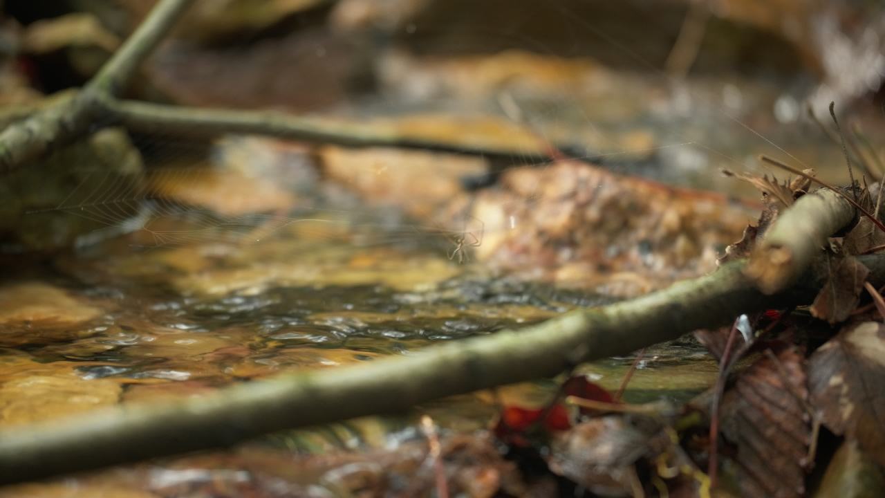 山泉水矿泉水潺潺小溪流水瀑布 37
