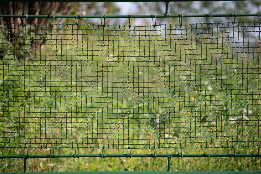 篱笆栅栏栅格绿色