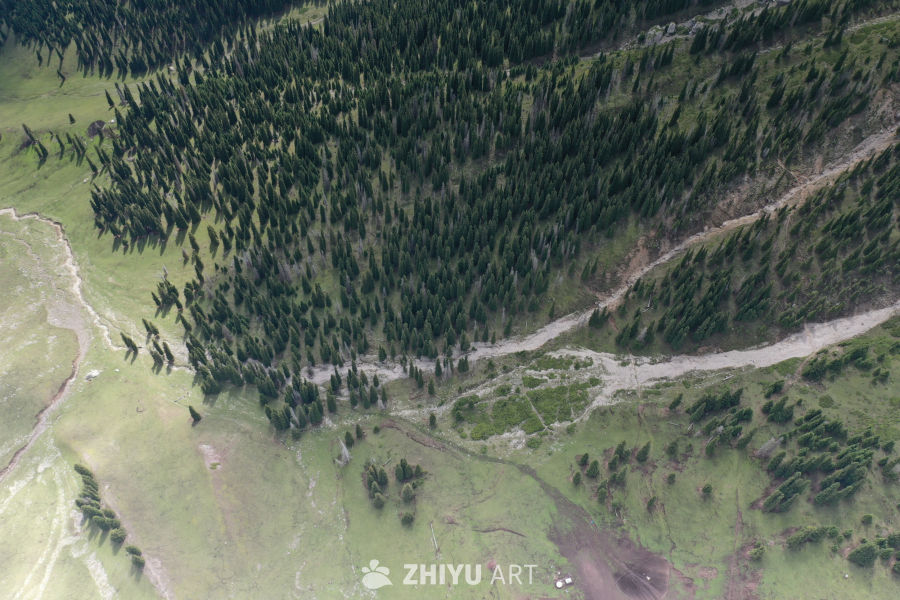 山间森林与蜿蜒河流