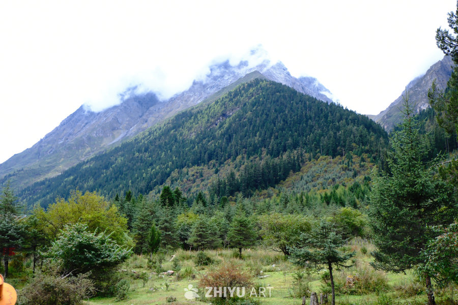四姑娘山风景
