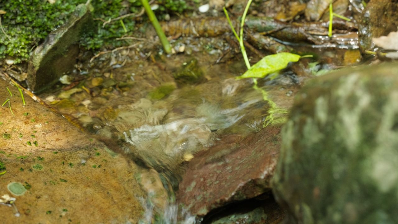 清澈山泉水温泉矿泉水小溪山涧 7