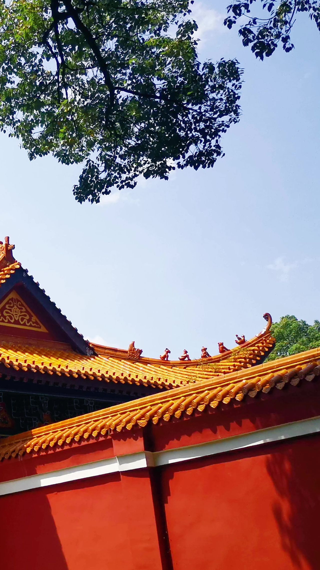 旅游景区湖南常德闯王陵竖屏