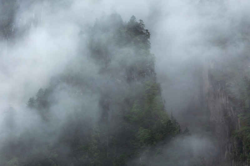 海螺沟冰川森林公园 5