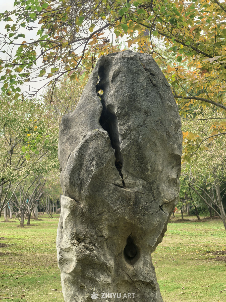 期许一场花开的绚烂，静赏一场花落的淡然！