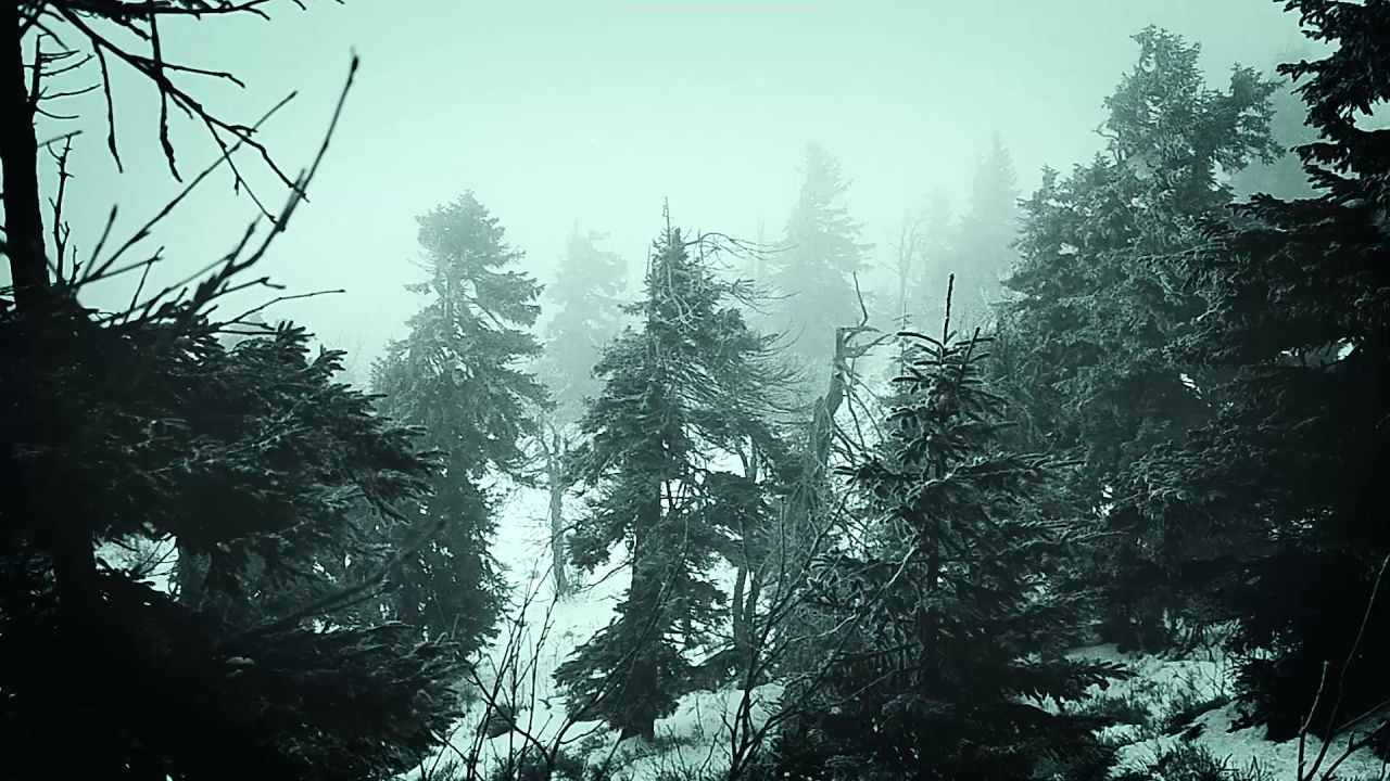 山冬季雾大自然