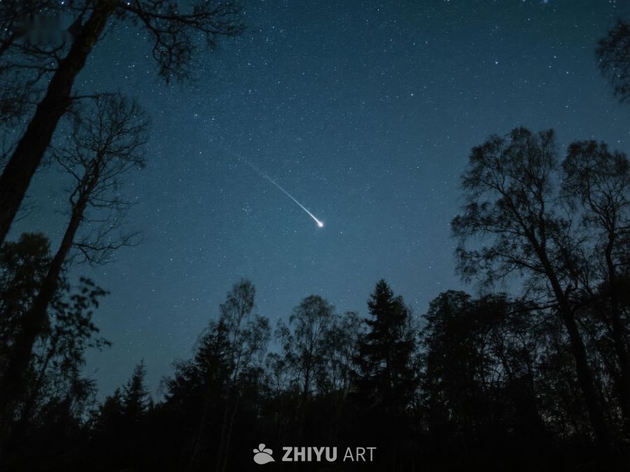 夜空流星划过树林 272