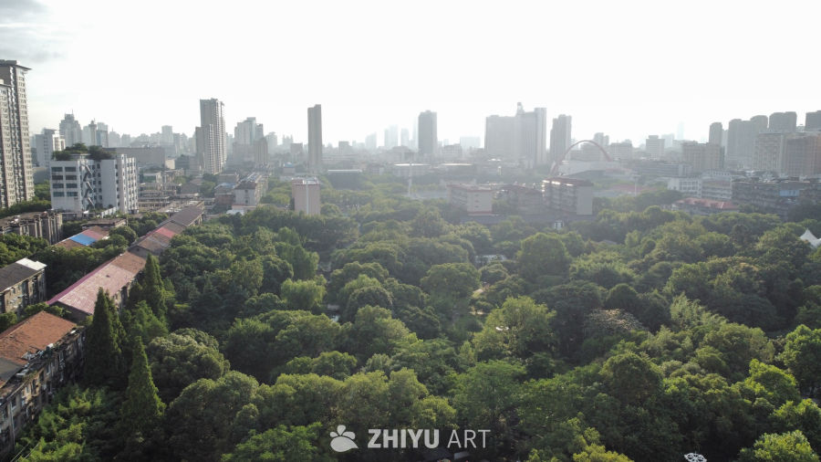 城市绿肺：晨光中的公园与高楼
