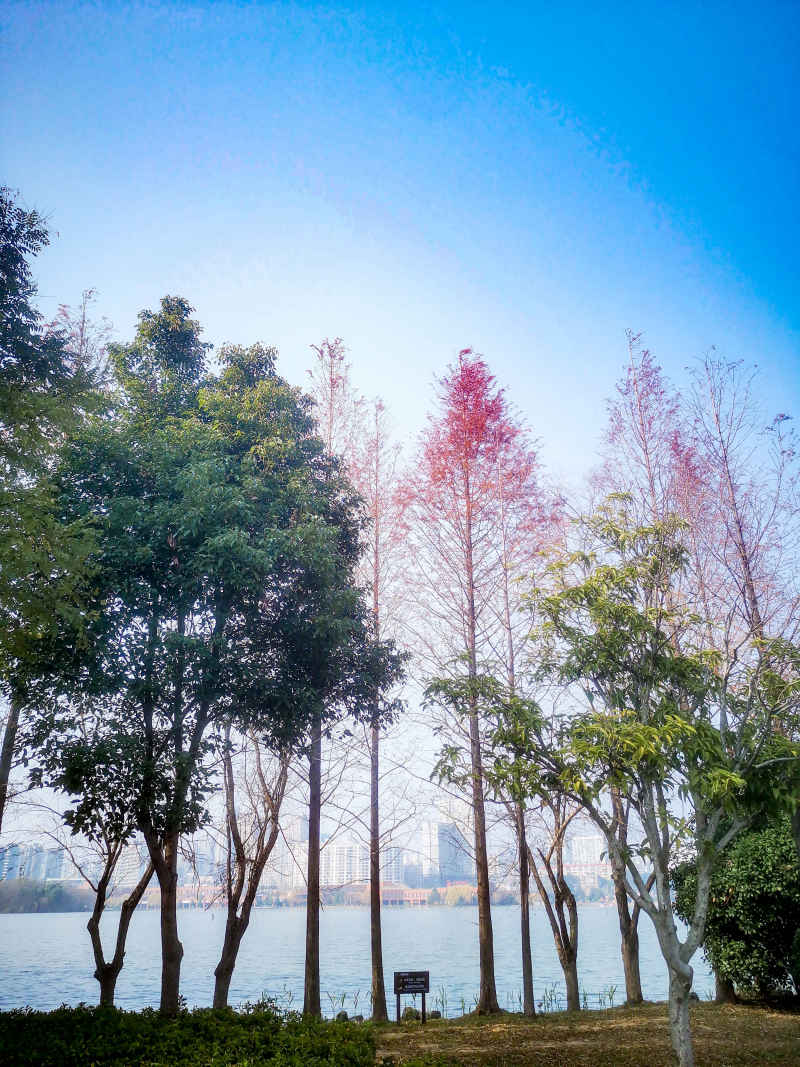湖南长沙西湖公园摄影图