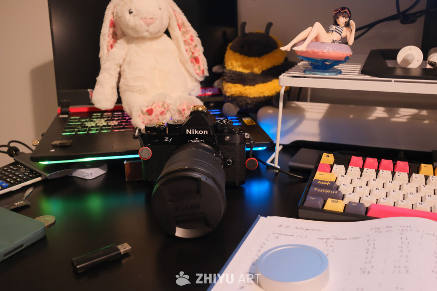 尼康Zf与Z24-120 f4S