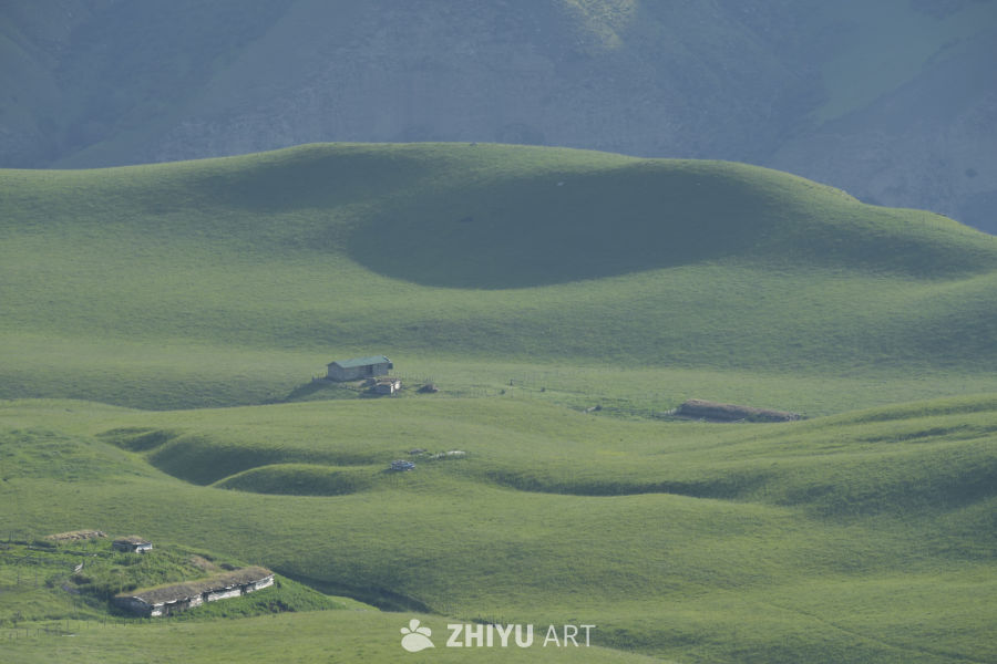 绿意盎然的山间小屋