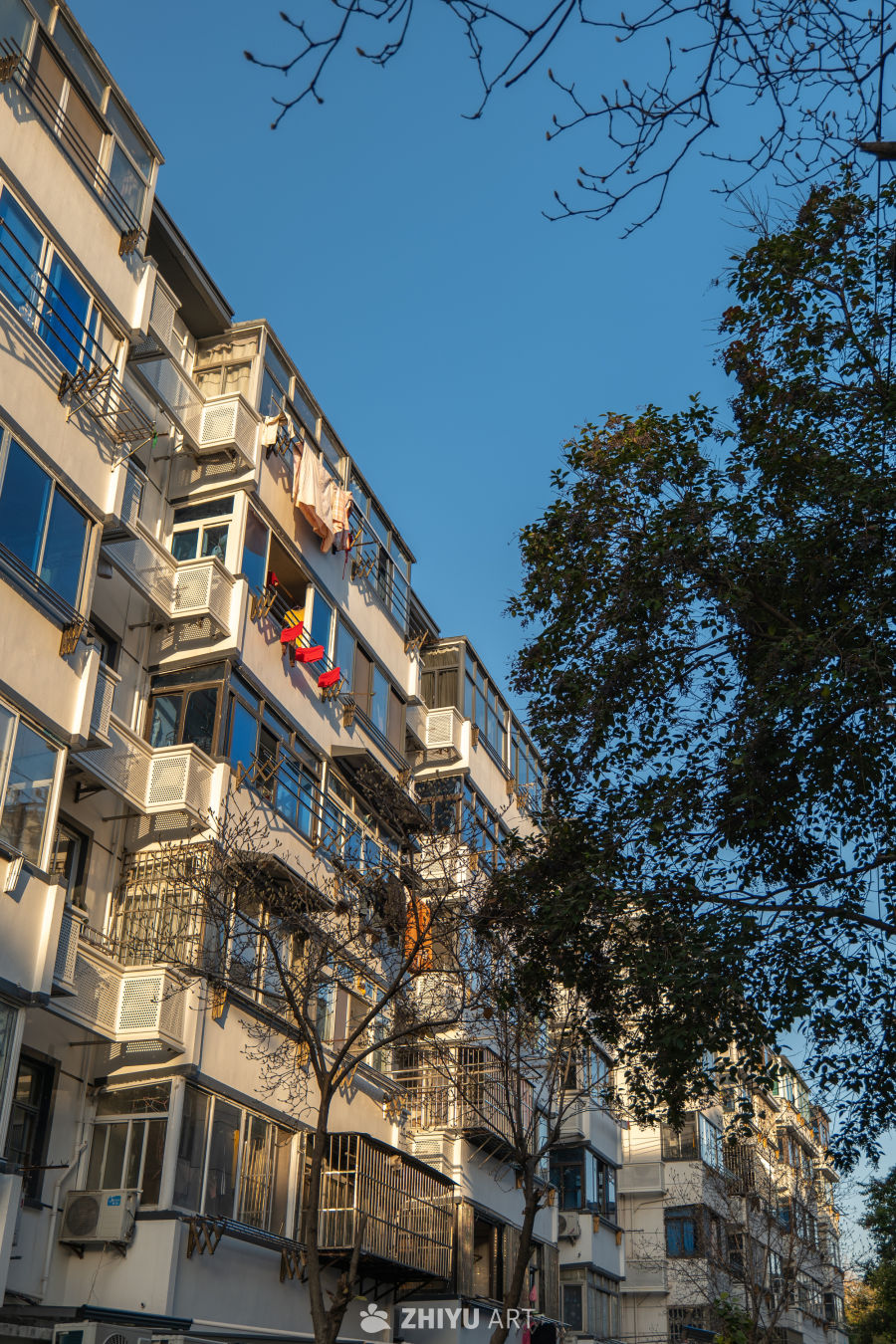 阳光下的居民楼一角