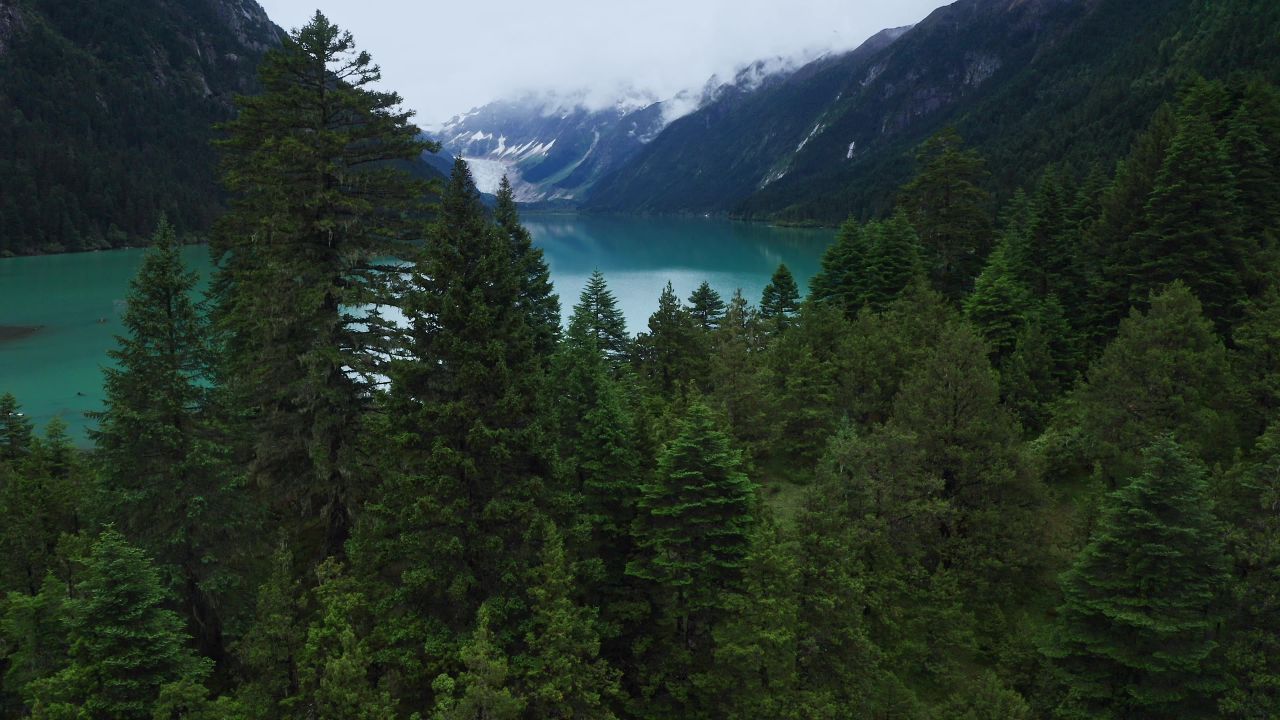 航拍西藏雨中的林芝新措风景