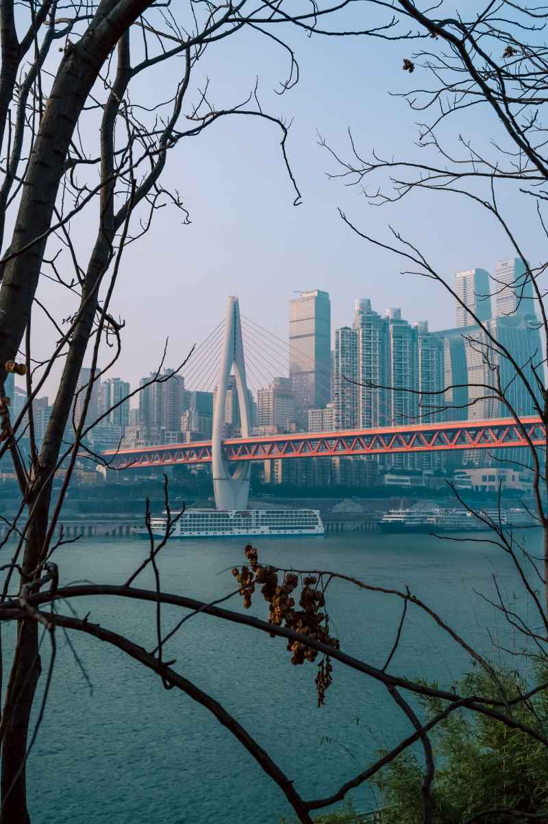 植物大桥与市区
