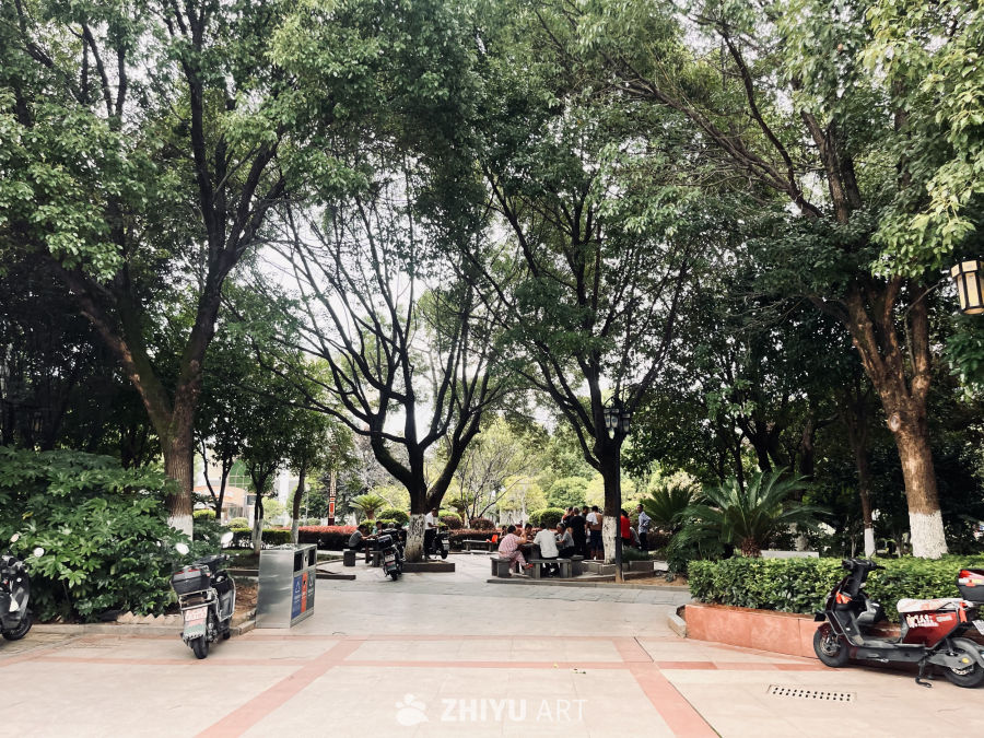 城市公园的悠闲时光