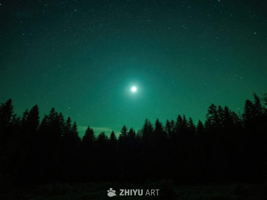 夜空下的森林剪影 360
