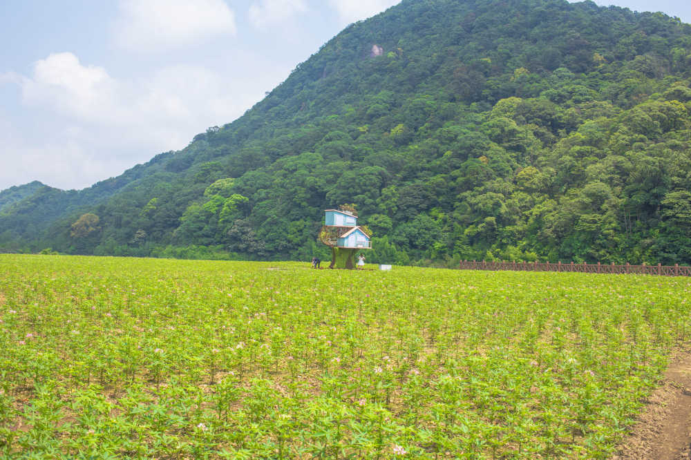 从化石门公园