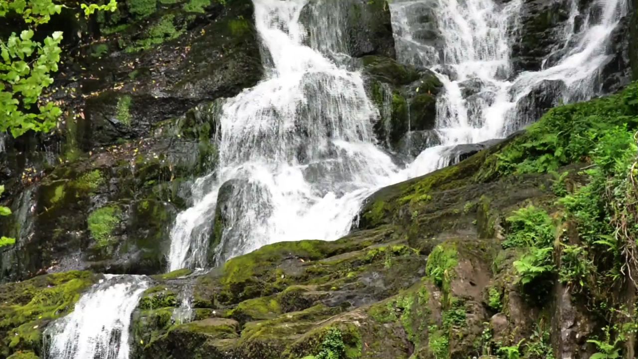 基拉尼瀑布爱尔兰国家