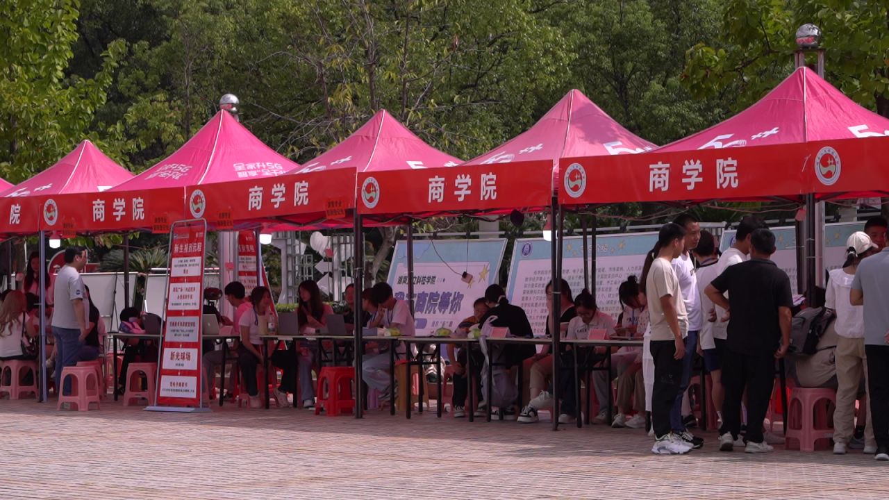 大学 7