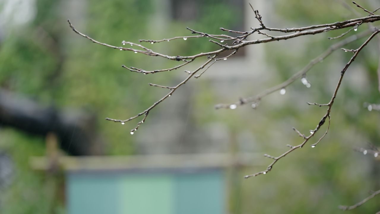 下雨情绪意境空境