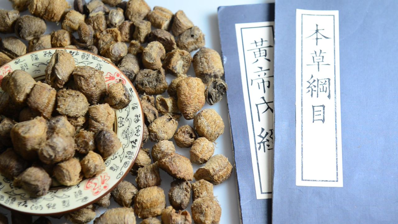 中药材桑螵蛸 21
