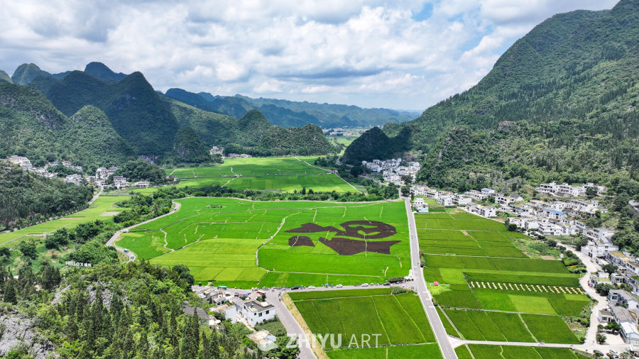 贵州兴义万峰林稻田 3