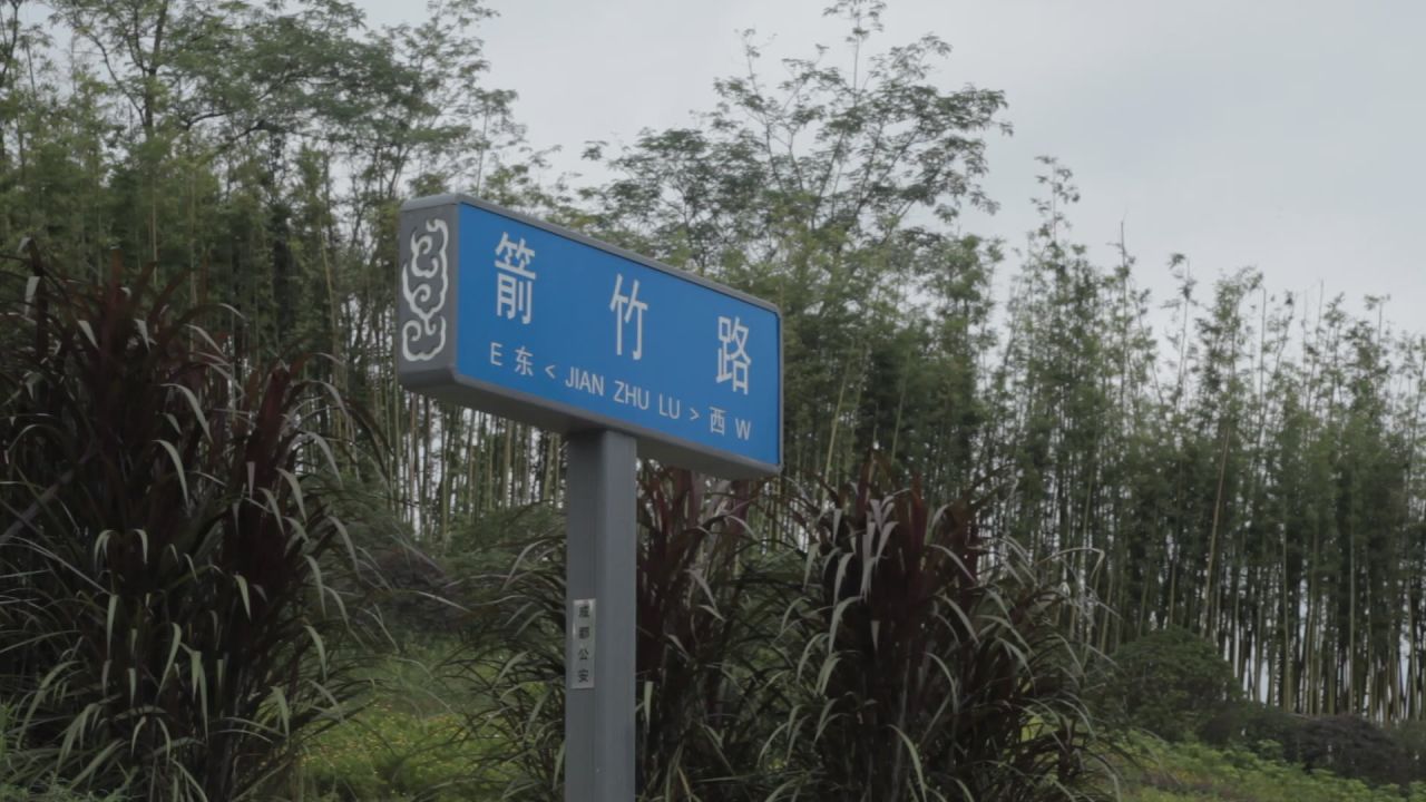 熊猫基地，沙河，锦江339绿道