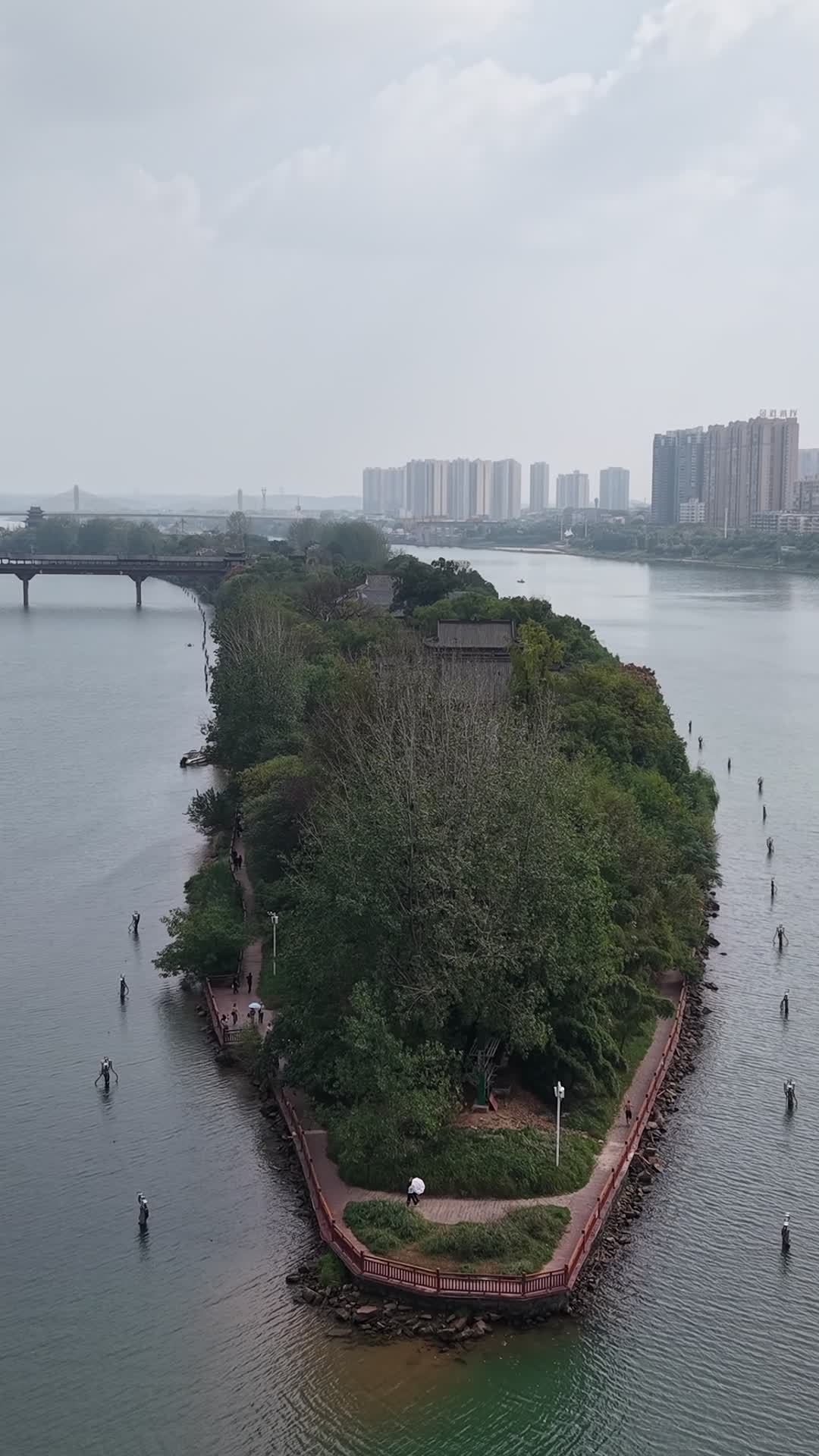 河畔小岛的宁静时光