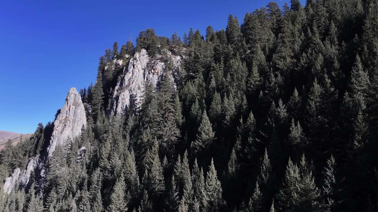 壮观森林峡谷全景航拍