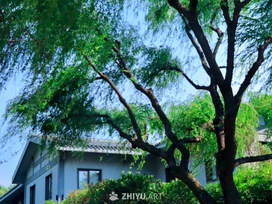 翠幕掩古韵——西湖畔建筑美学