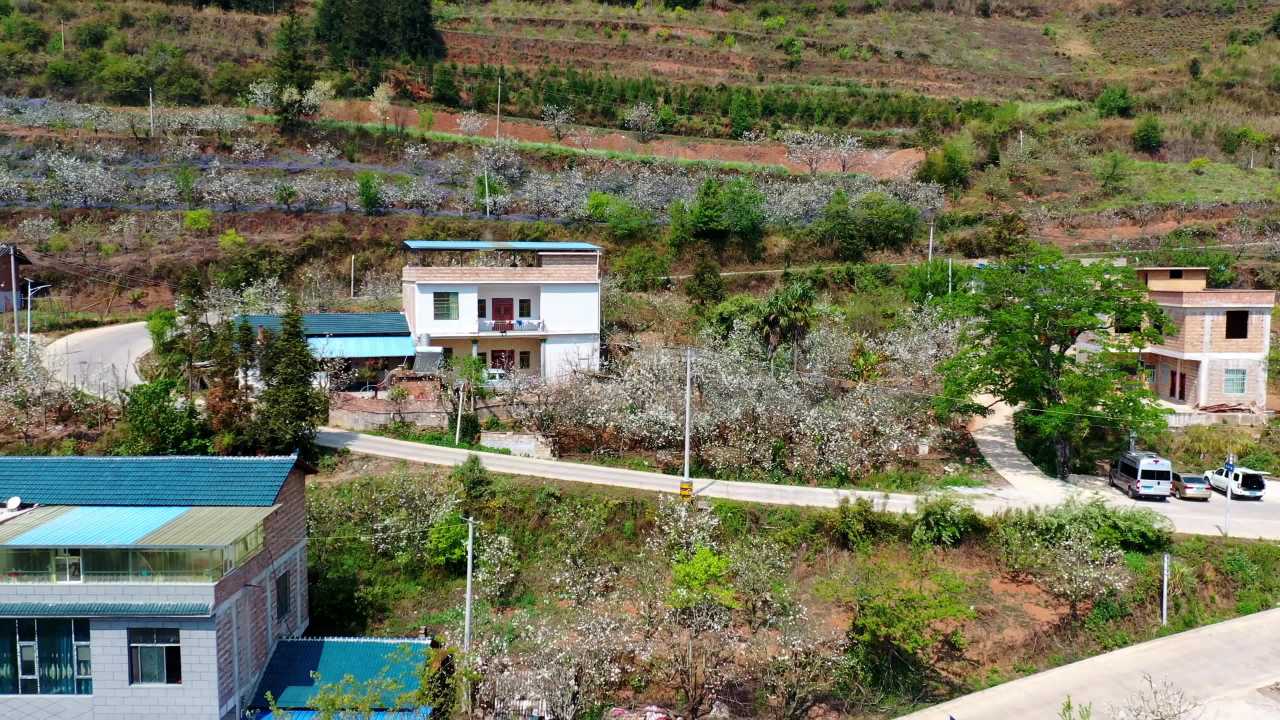 乡村静谧时光