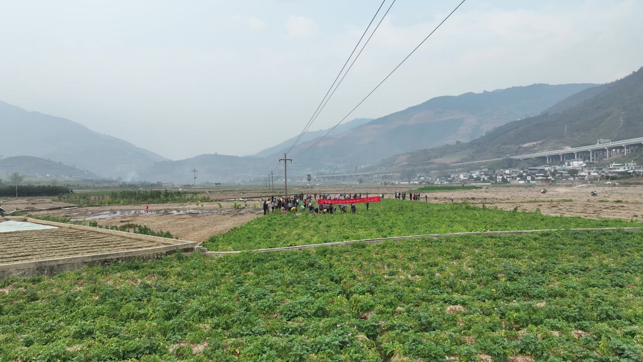 丰收 16