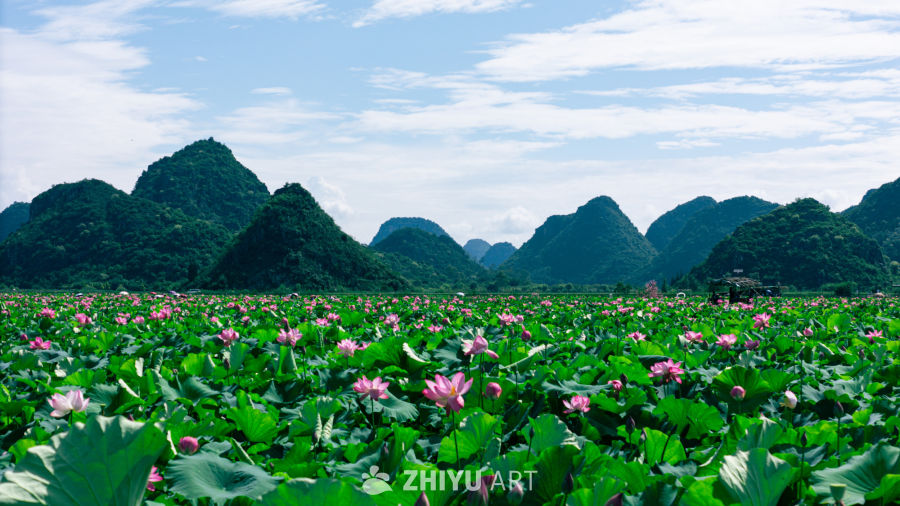 荷塘月色与青山白云