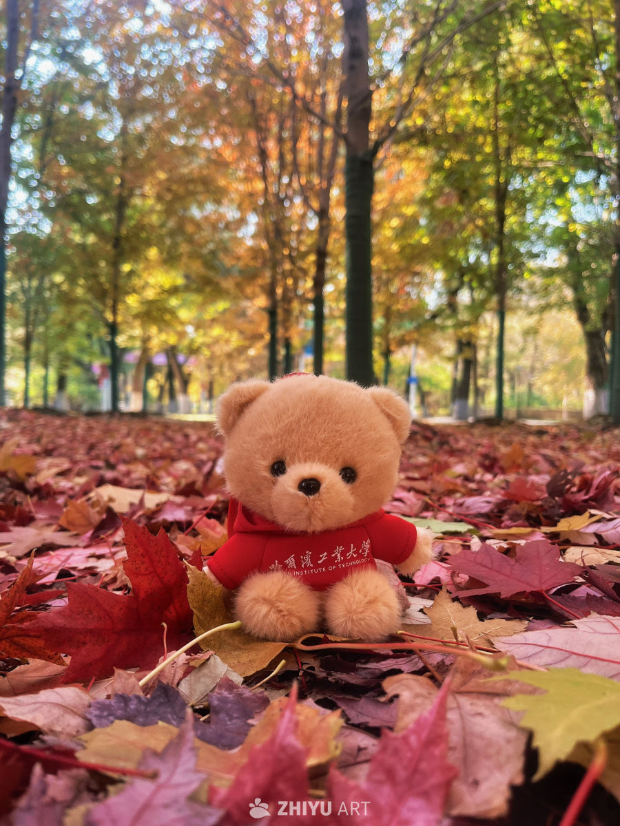 秋日落叶中的泰迪熊
