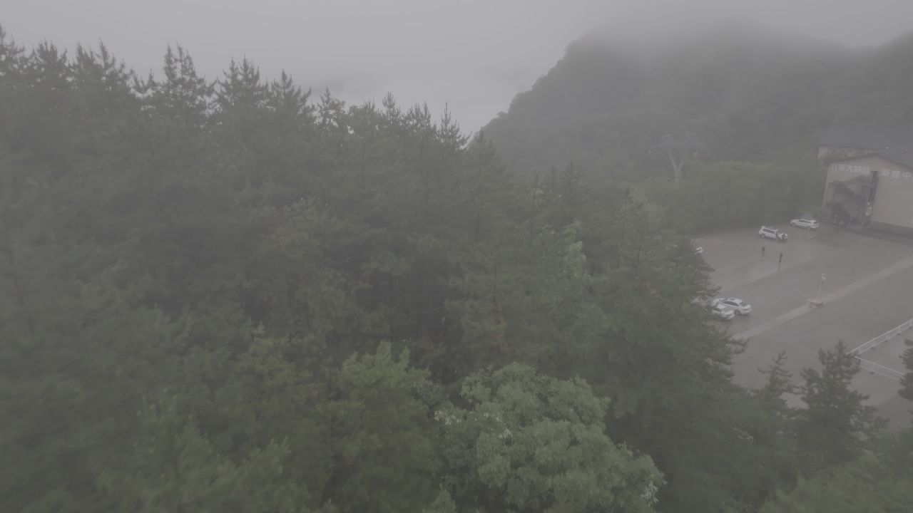 雾中森林与山景