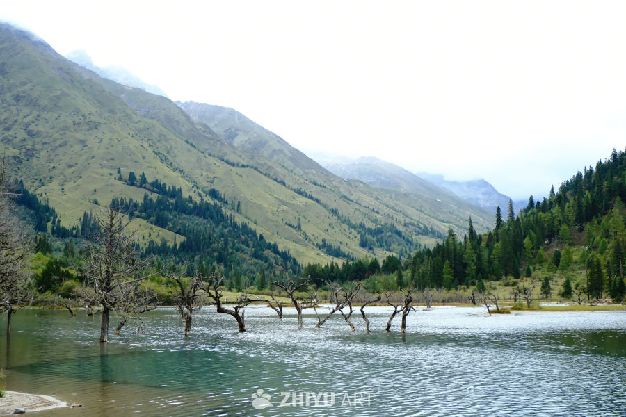 四姑娘山风景