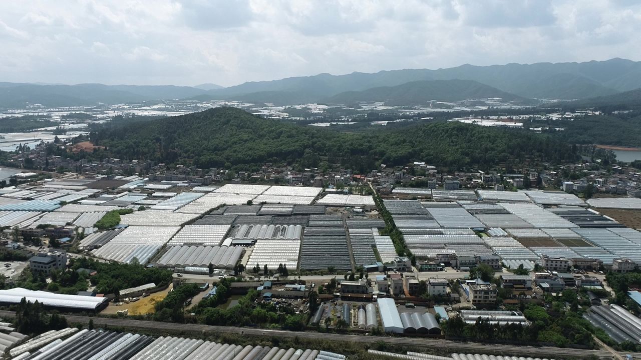塑料大棚 蔬菜花卉种植基地2