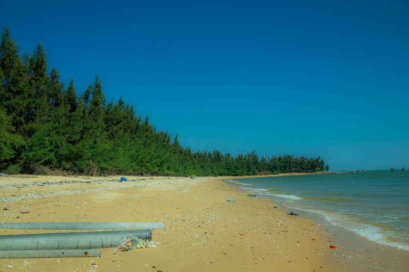 森林、沙滩、大海
