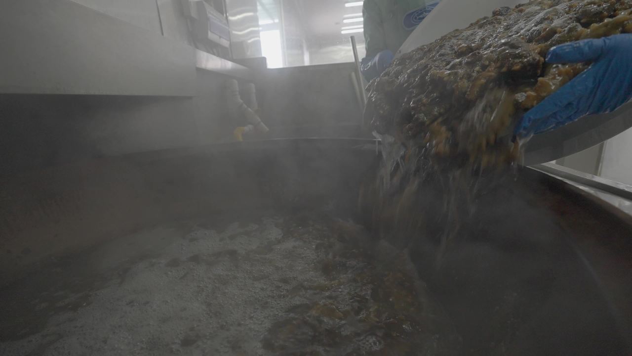 海参加工生产流水线