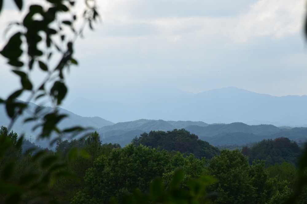 会当凌绝顶，一览众山小
