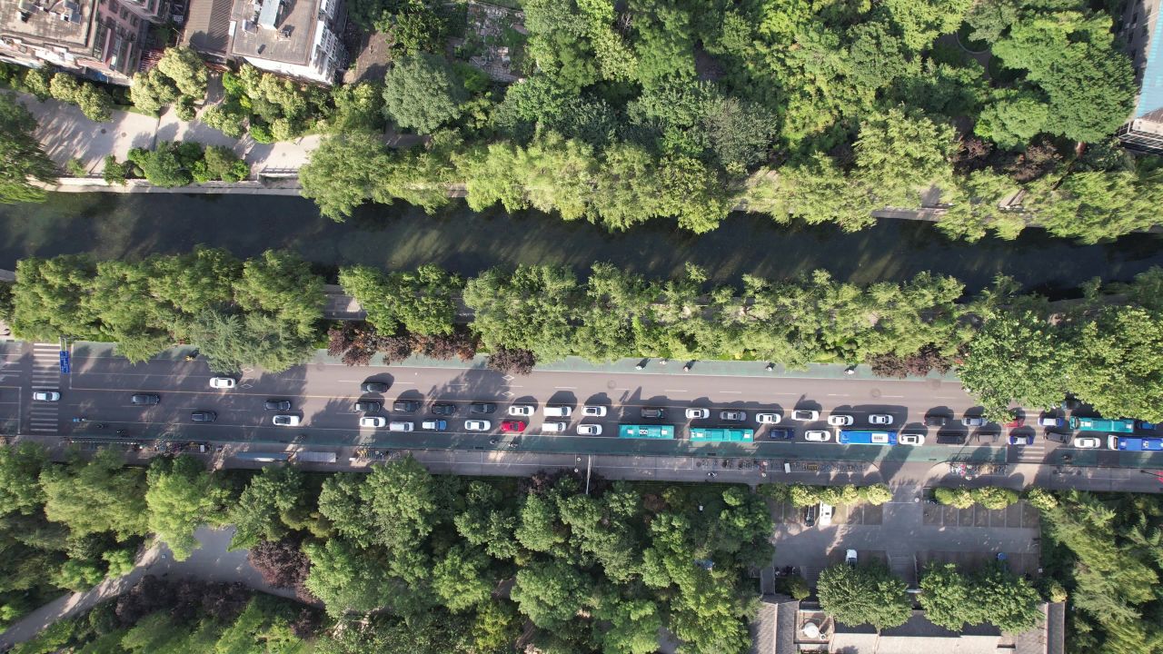  俯拍城市大道绿化植物交通
