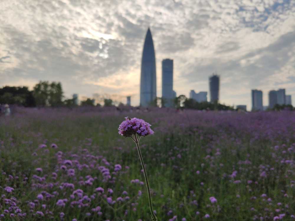 花