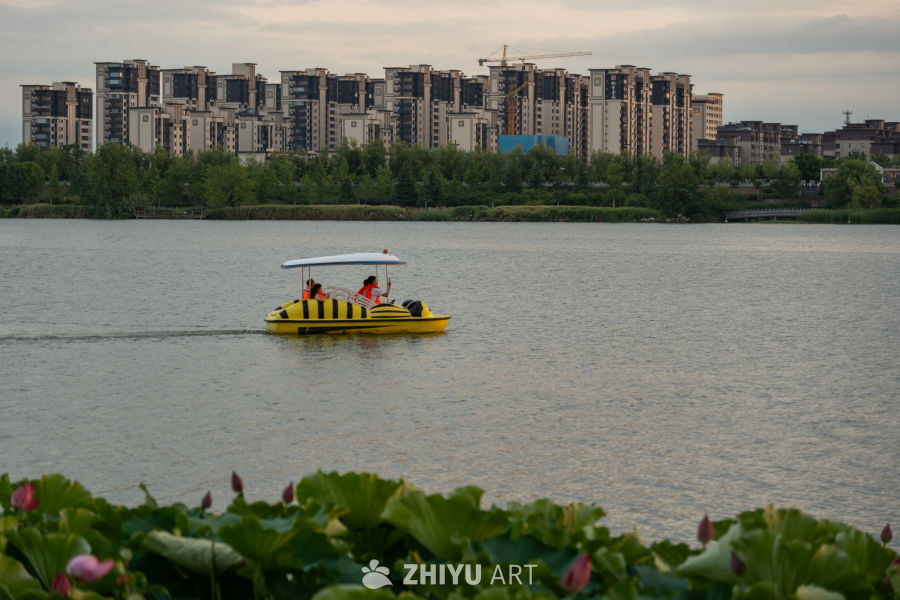 夕阳下的大桥 17
