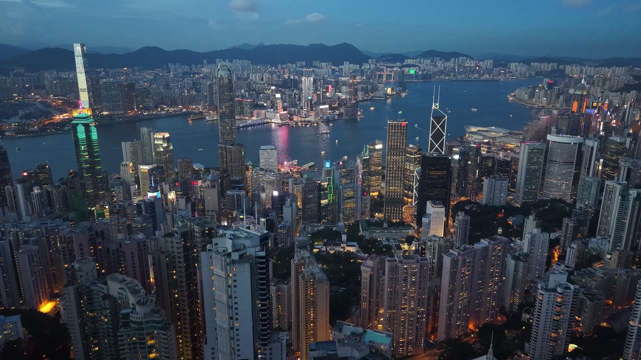 维港 23